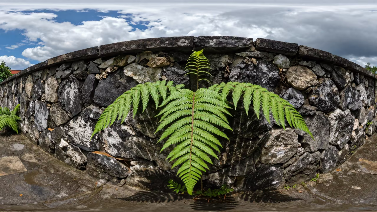 Fern Frond Veins Against Stone Wall in Haiti in in Haiti