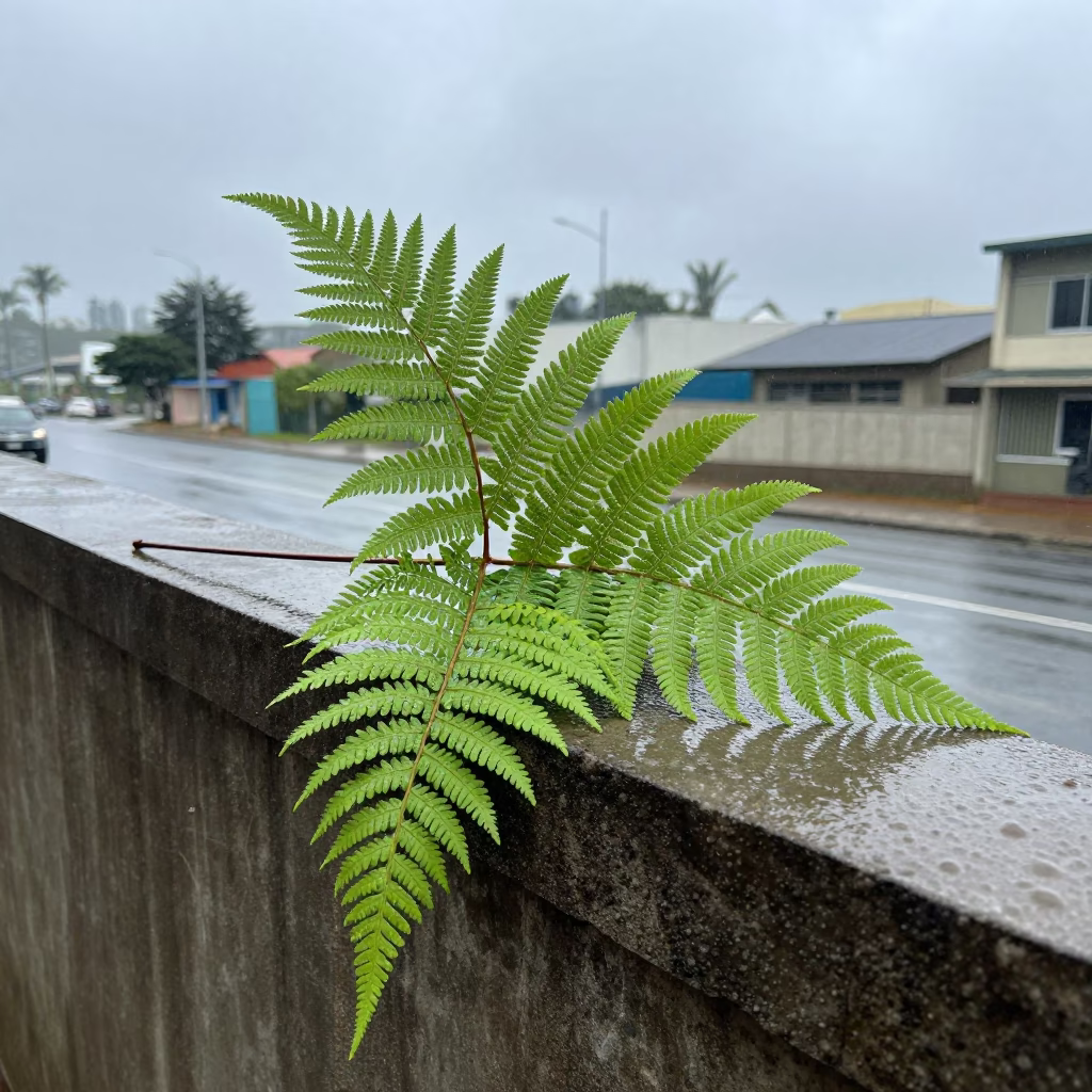 Fern Fronds in Durban in in Durban, South Africa