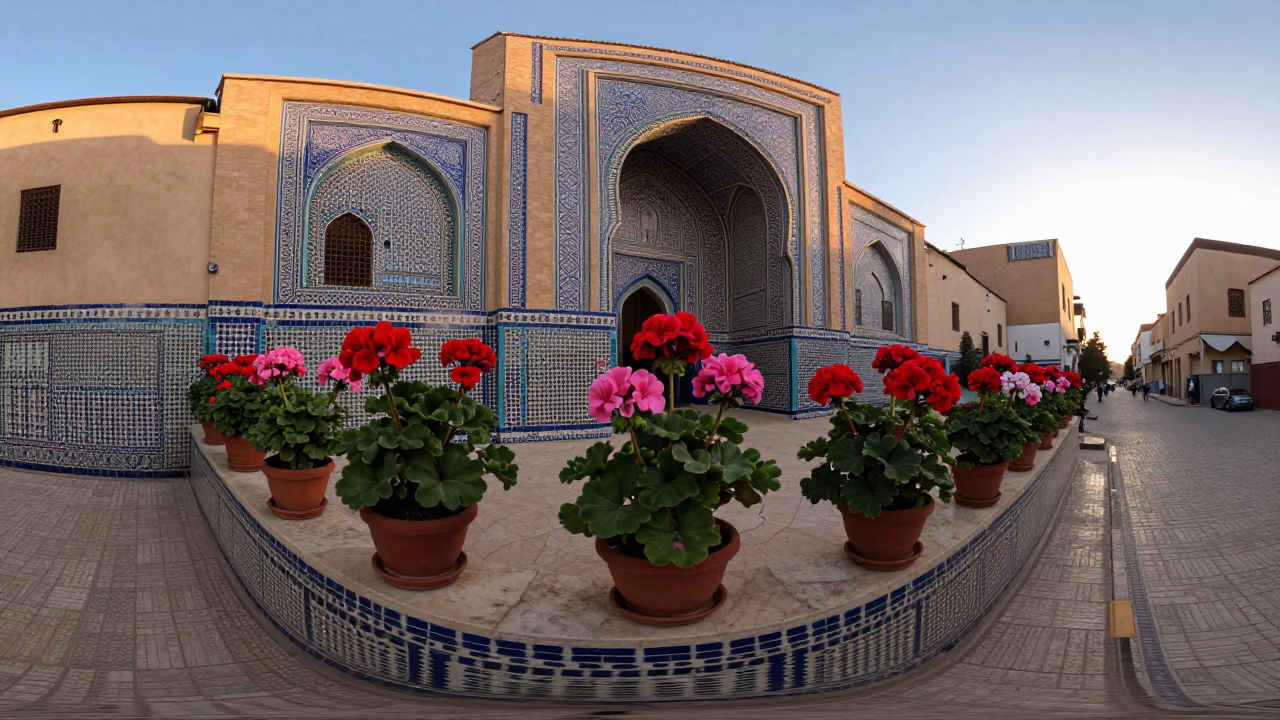Fez Morocco Dawn Street Scene with Potted Geraniums and Traditional Architecture in in Fez, Morocco