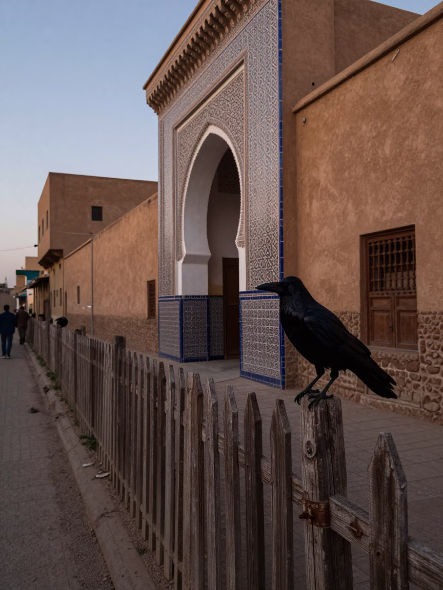 Fez Morocco Early Evening Street Scene with Crow on Fence and Traditional Architecture in in Fez, Morocco