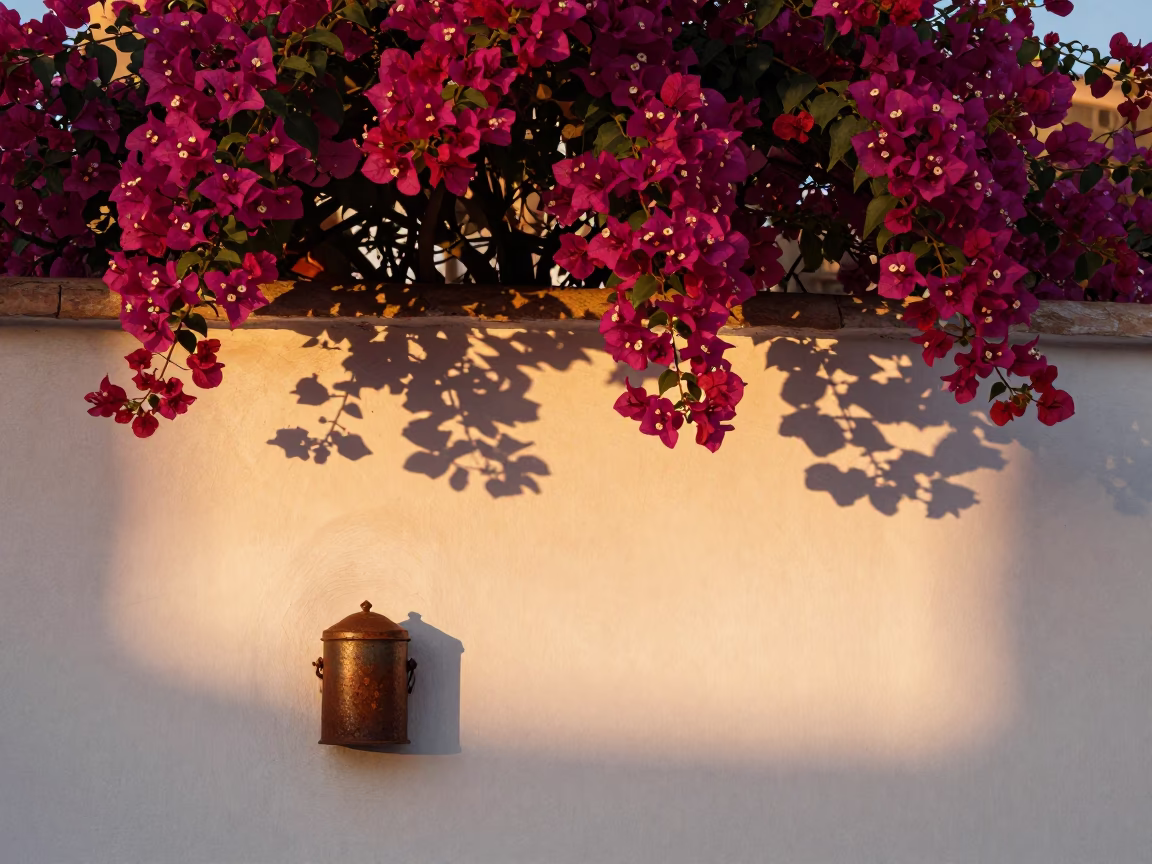 Fez Morocco Evening Light Bougainvillea Wall Tea Tin and Rusty Hinge Detail in in Fez, Morocco