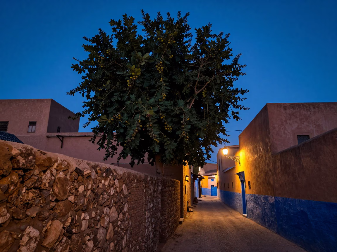Fez Morocco Indigo Twilight Street Scene with Fig Tree and Traditional Market in in Fez, Morocco