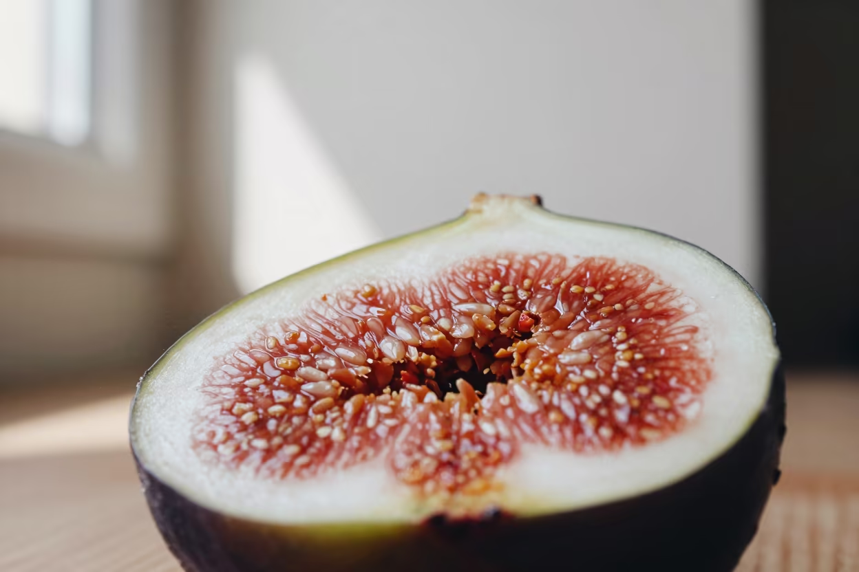 Fig Cross Section Seed Structure Maputo in inside a seed pod split open in Maputo