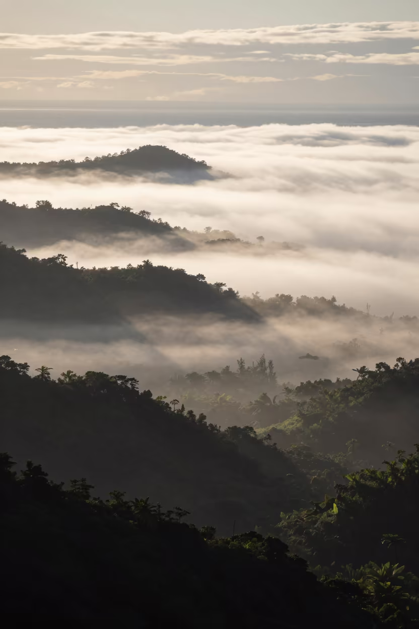 Fiji Valley Fog Sea at Dawn Rim Light in across a storm-bright plain in Fiji