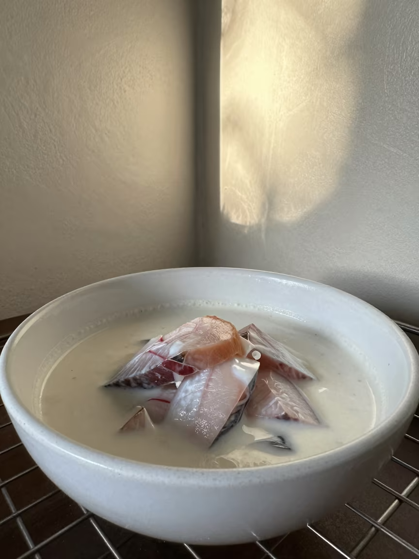 Fijian Kokoda Fish in Coconut Cream in on a bakery cooling rack in Madurai