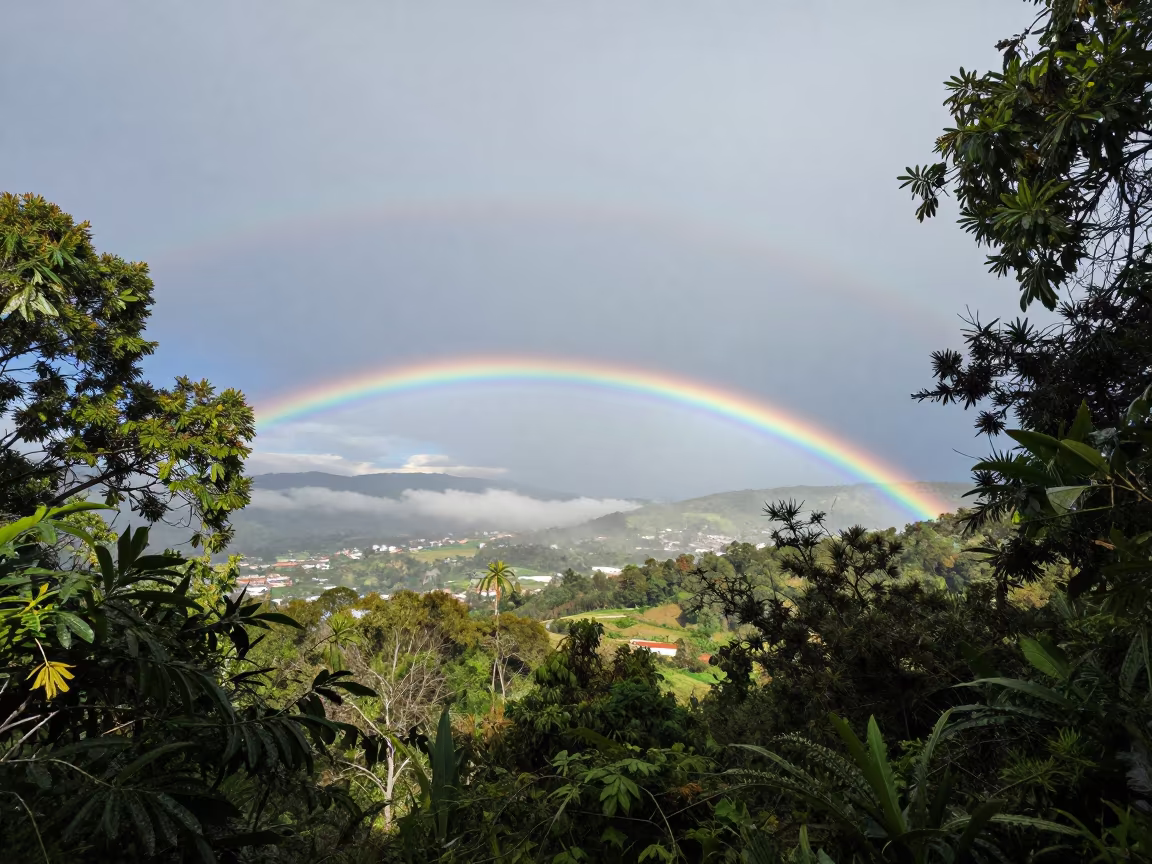 Fire Rainbow Through Fog and Leaves in through low marine fog near Guadalajara