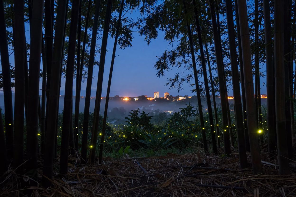 Fireflies in Bamboo Grove at Dusk Near Havana in under a band of cold starlight near Fusterlandia, Havana