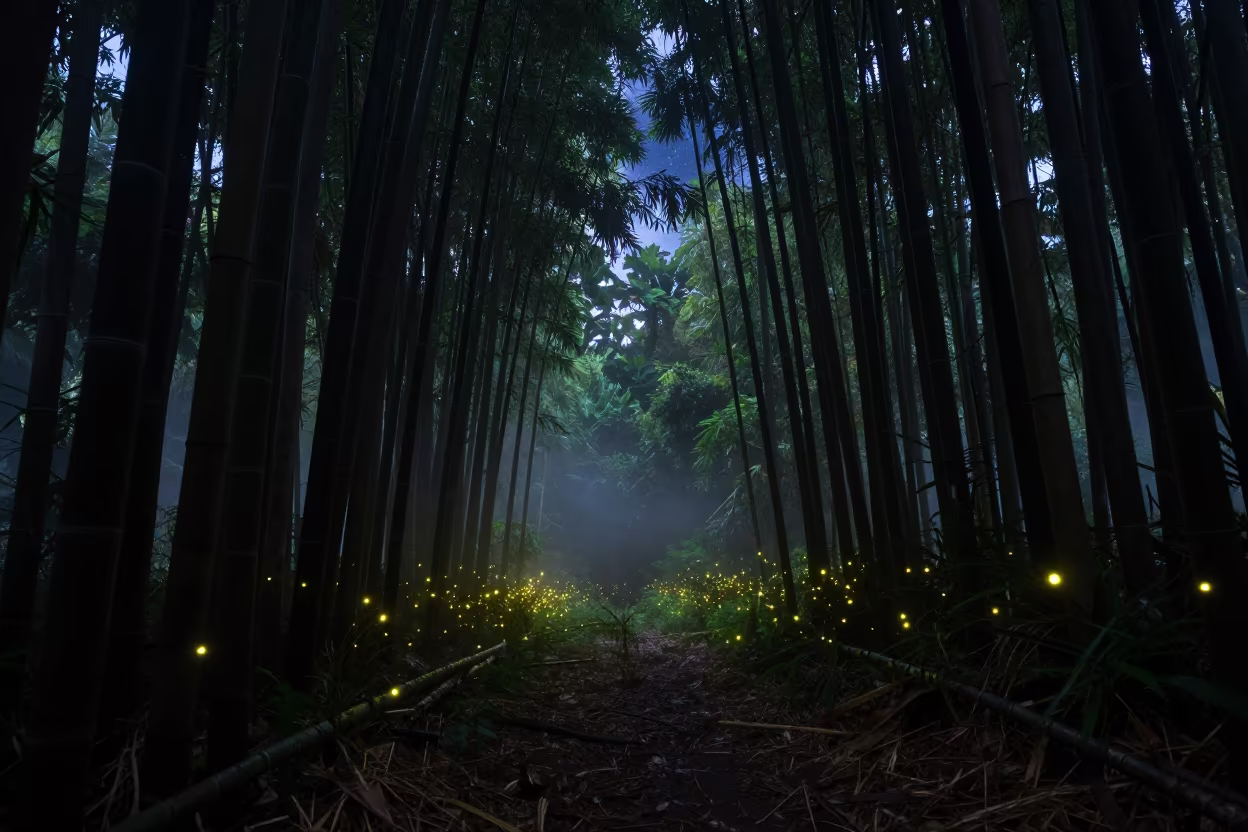 Fireflies Glow in Bamboo Grove Night Philippines in from a humid jungle overlook in Philippines