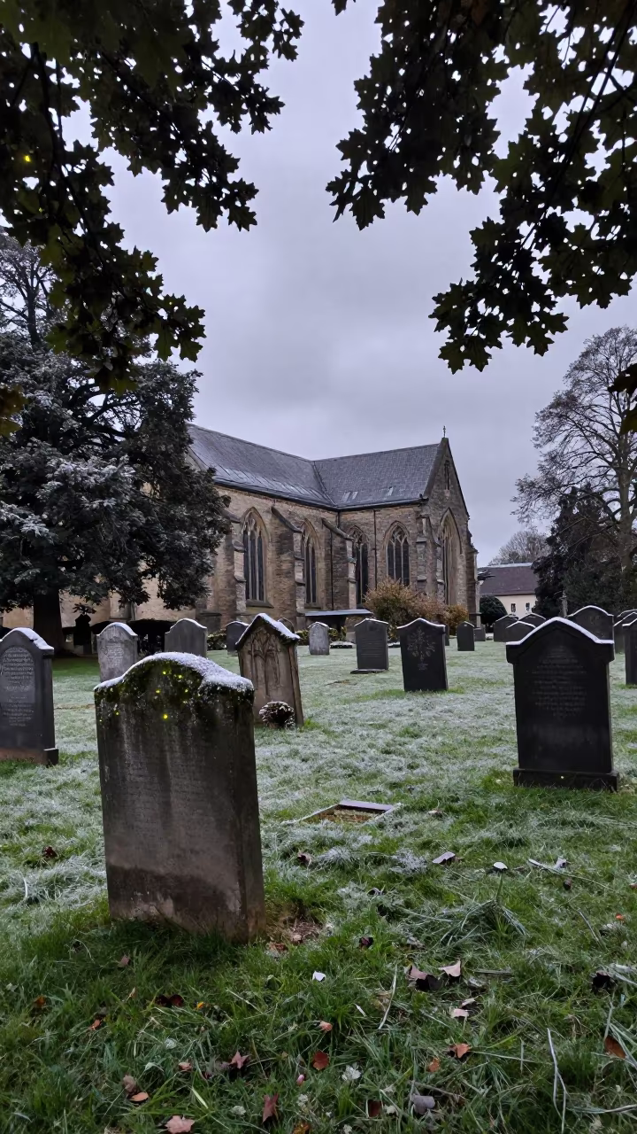 Fireflies Blink Among Winter Gravestones in from a frost-hushed ridgeline near Bonn