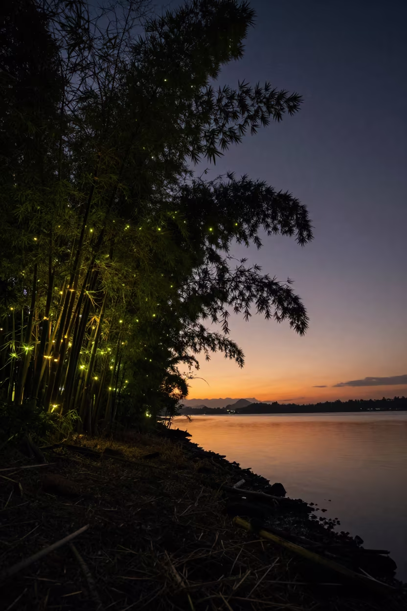 Fireflies Glow in Bamboo Grove at Sunset in beside dark water under a tropical sky in Malaysia