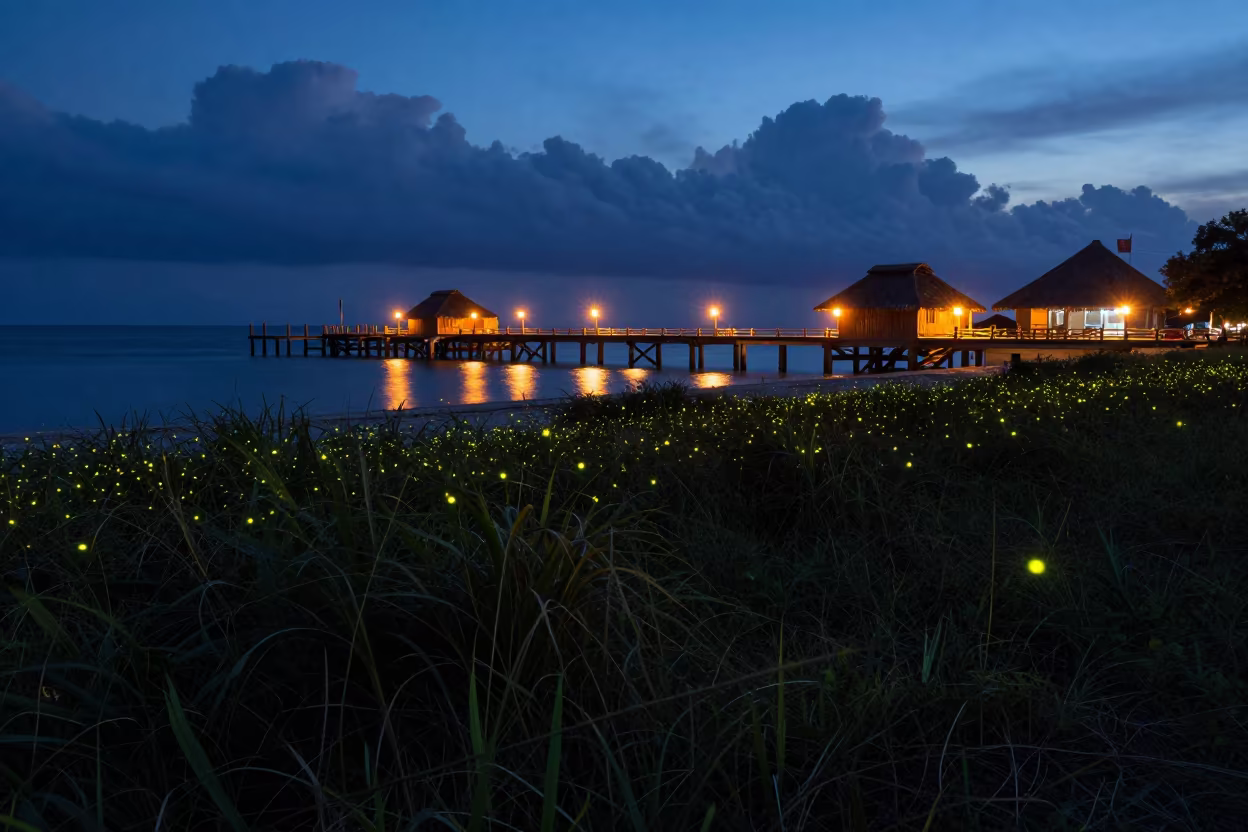 Fireflies Glow Over Lombok Harbor at Blue Hour in beside a lantern-dotted harbor near Lombok