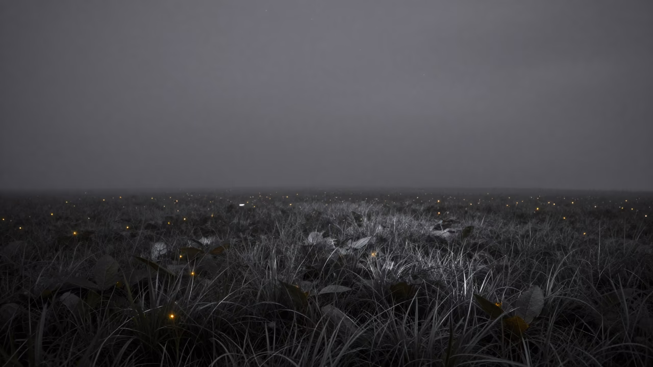 Fireflies Glow Over Monsoon Meadow Under Stars in beneath thin cloud gaps and stars in Java