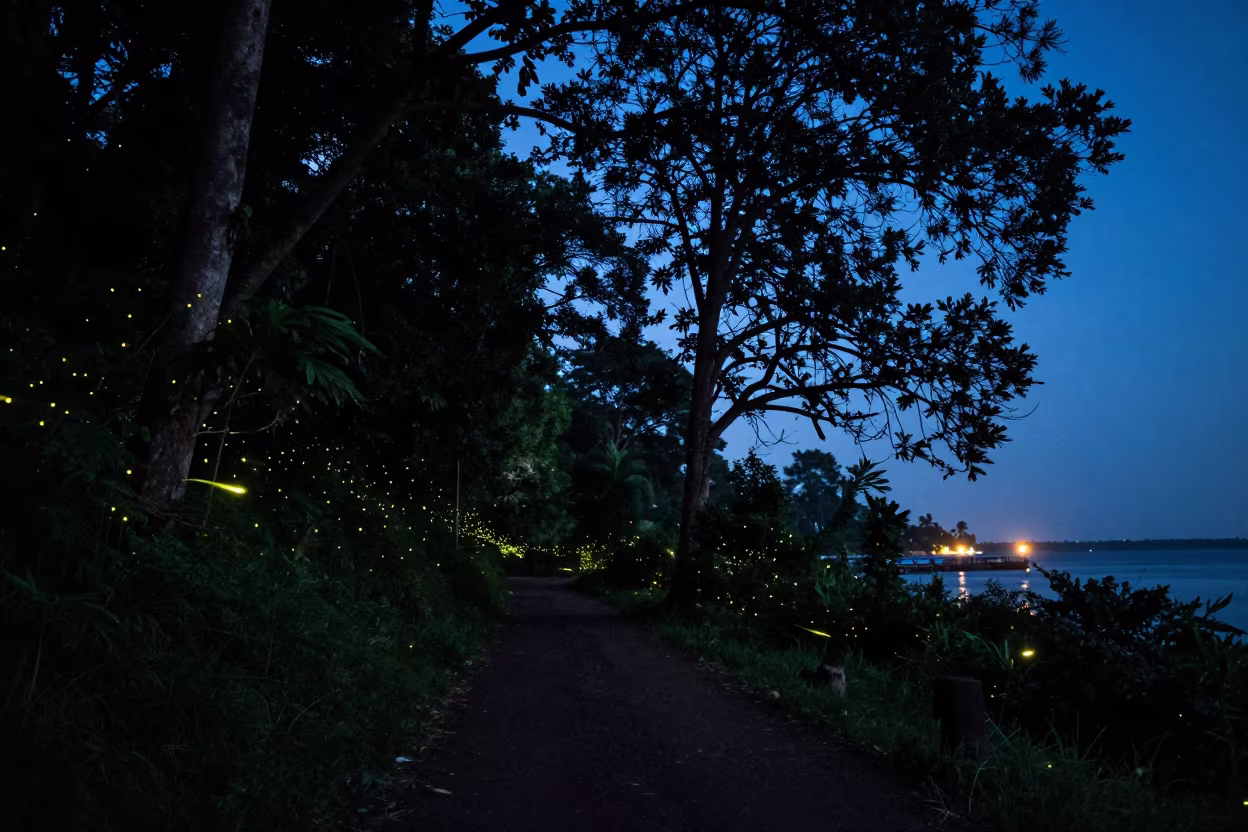 Fireflies Guide Trail Through Dark Forest Near Harbor in beside a lantern-dotted harbor in Uganda