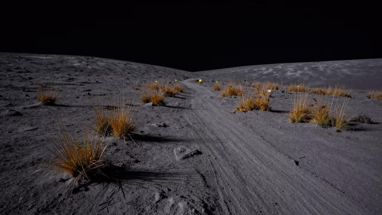 Fireflies Hovering Over Moon Path in Alpine Twilight in from a quiet alpine saddle near Lijiang