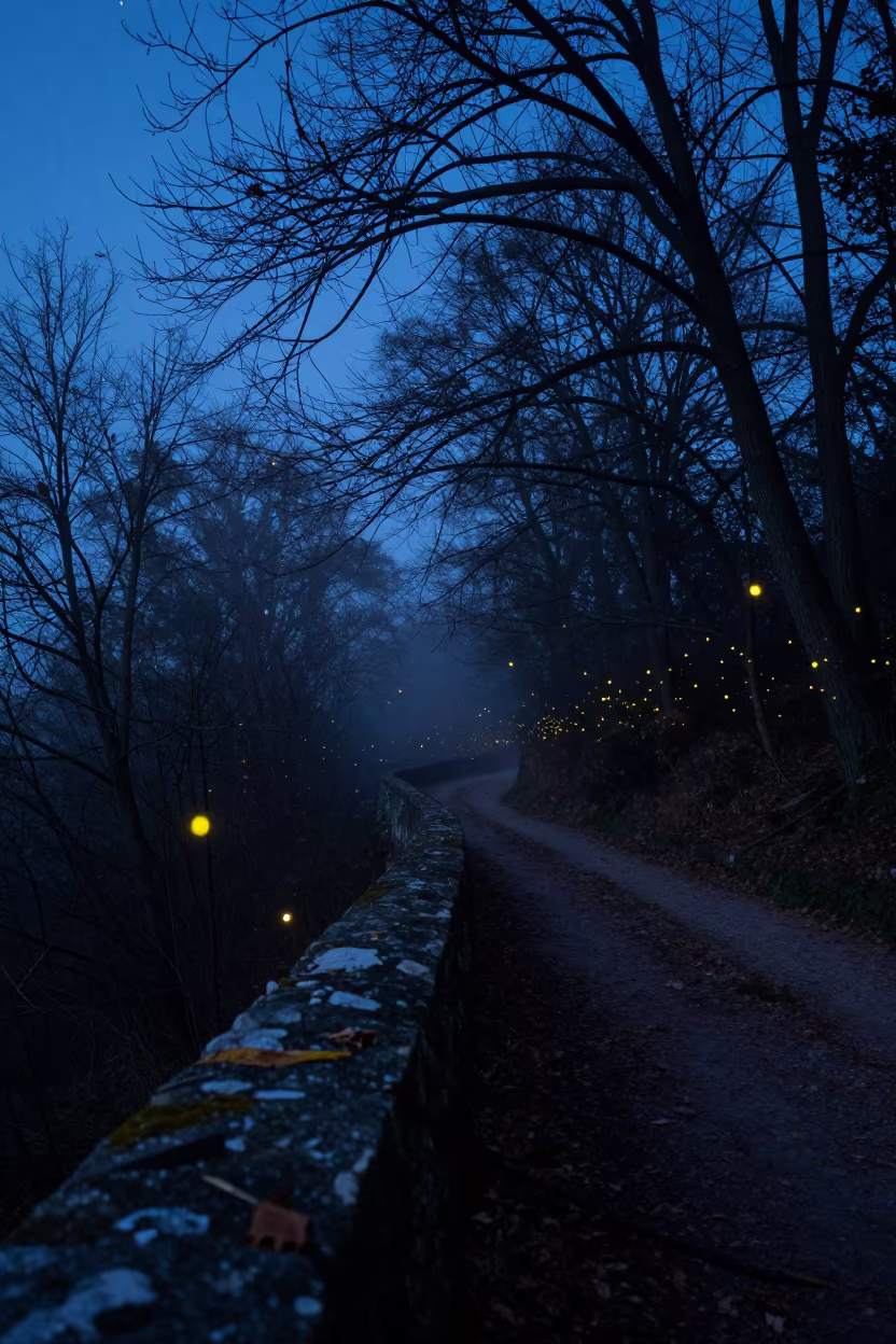 Fireflies Over Misty Path Near Evora Moonlit Breakwater in from a moonlit breakwater near Evora