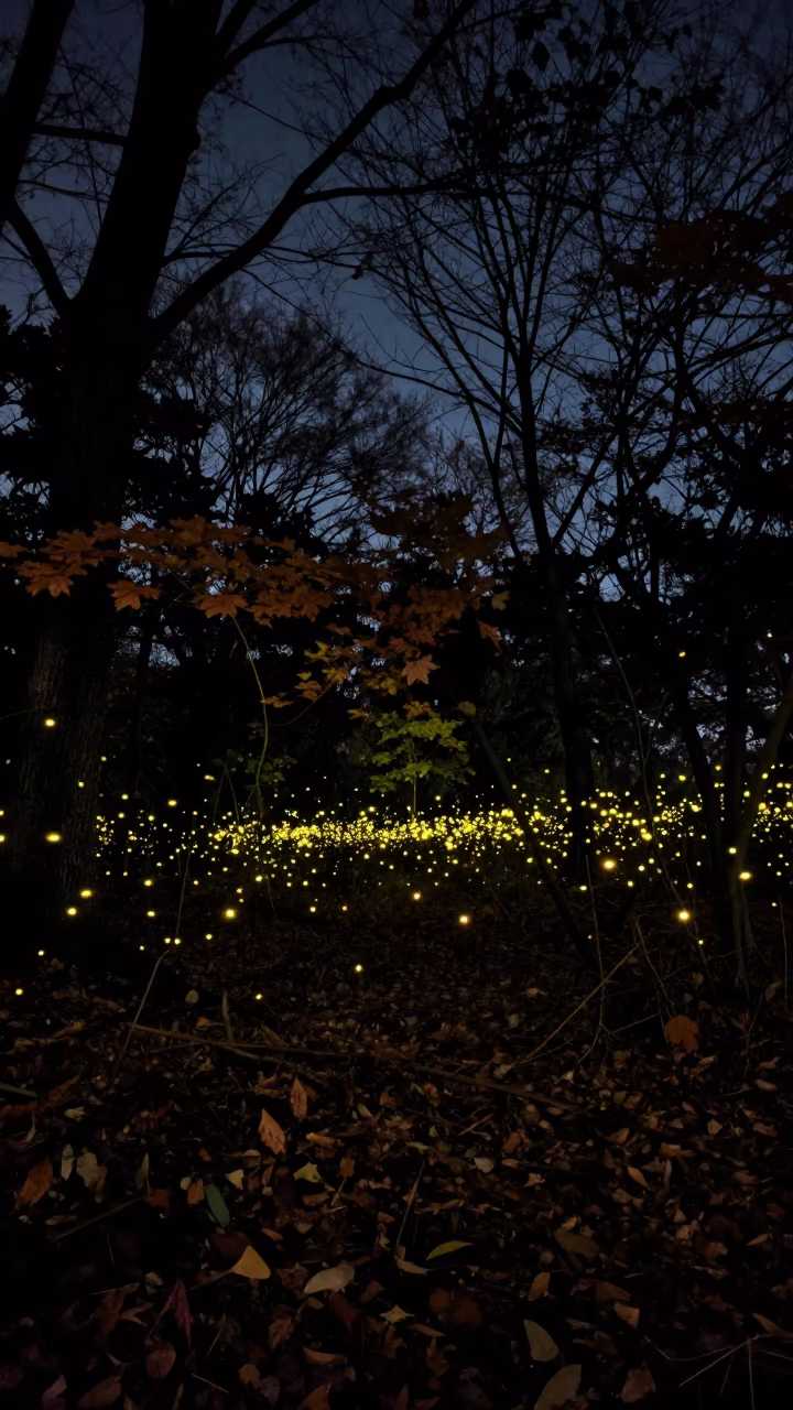 Fireflies Over Najaf Forest at Deepest Night in beneath a dark-sky overlook near Najaf