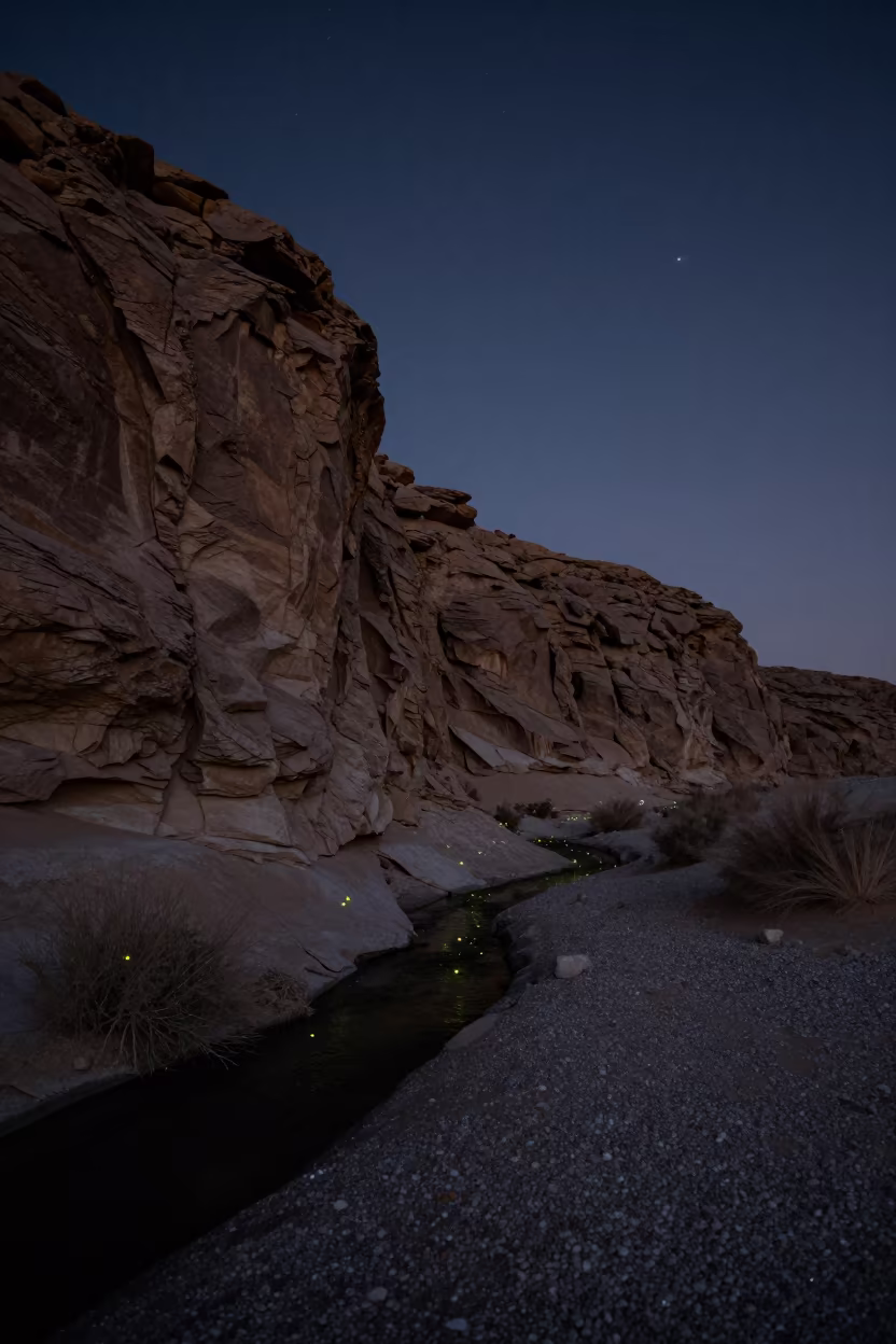 Fireflies Synchronizing Under Desert Escarpment in beneath a wind-cut desert escarpment in United Arab Emirates