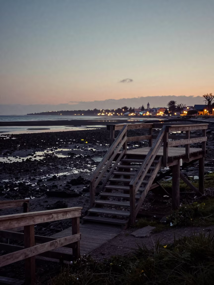 Firefly Staircase Twilight Inlet Argentina in beside a tidal inlet near Comodoro Rivadavia