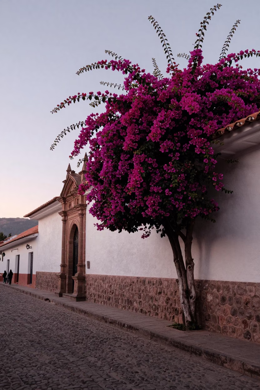 First Light Dawn in Cusco Peru Street Scene with Bougainvillea and Colonial Architecture in in Cusco, Peru