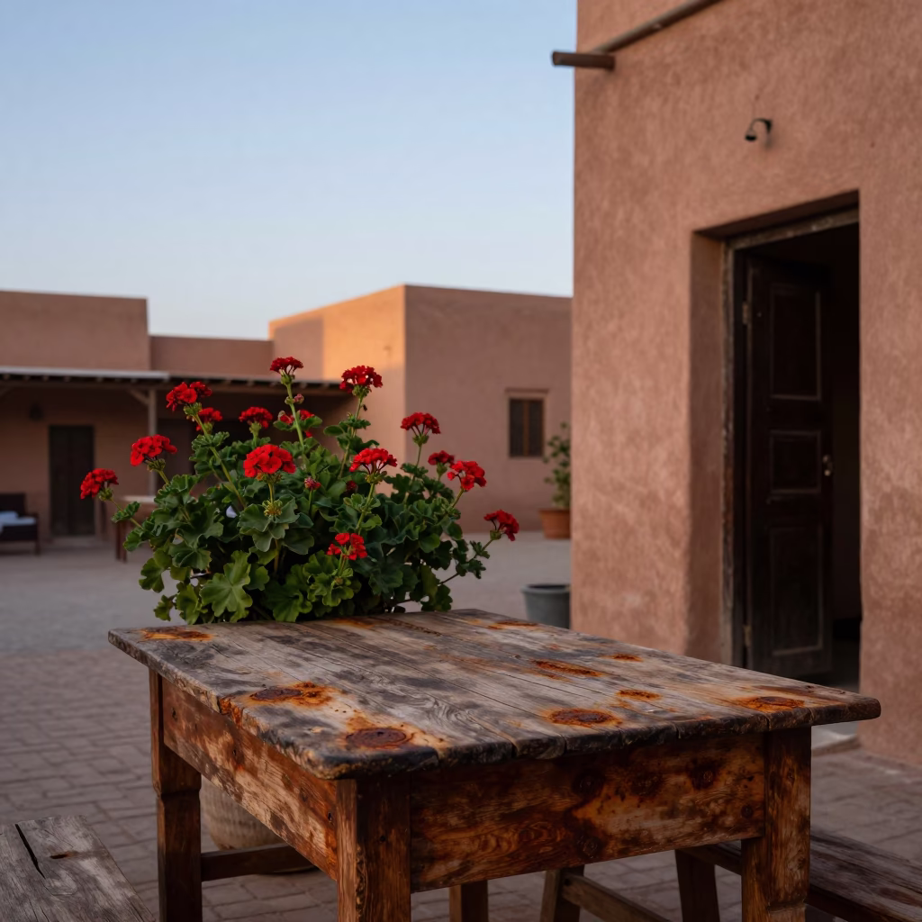 First Light Dawn in Marrakech Morocco with Rusty Tabletop and Geraniums in in Marrakech, Morocco