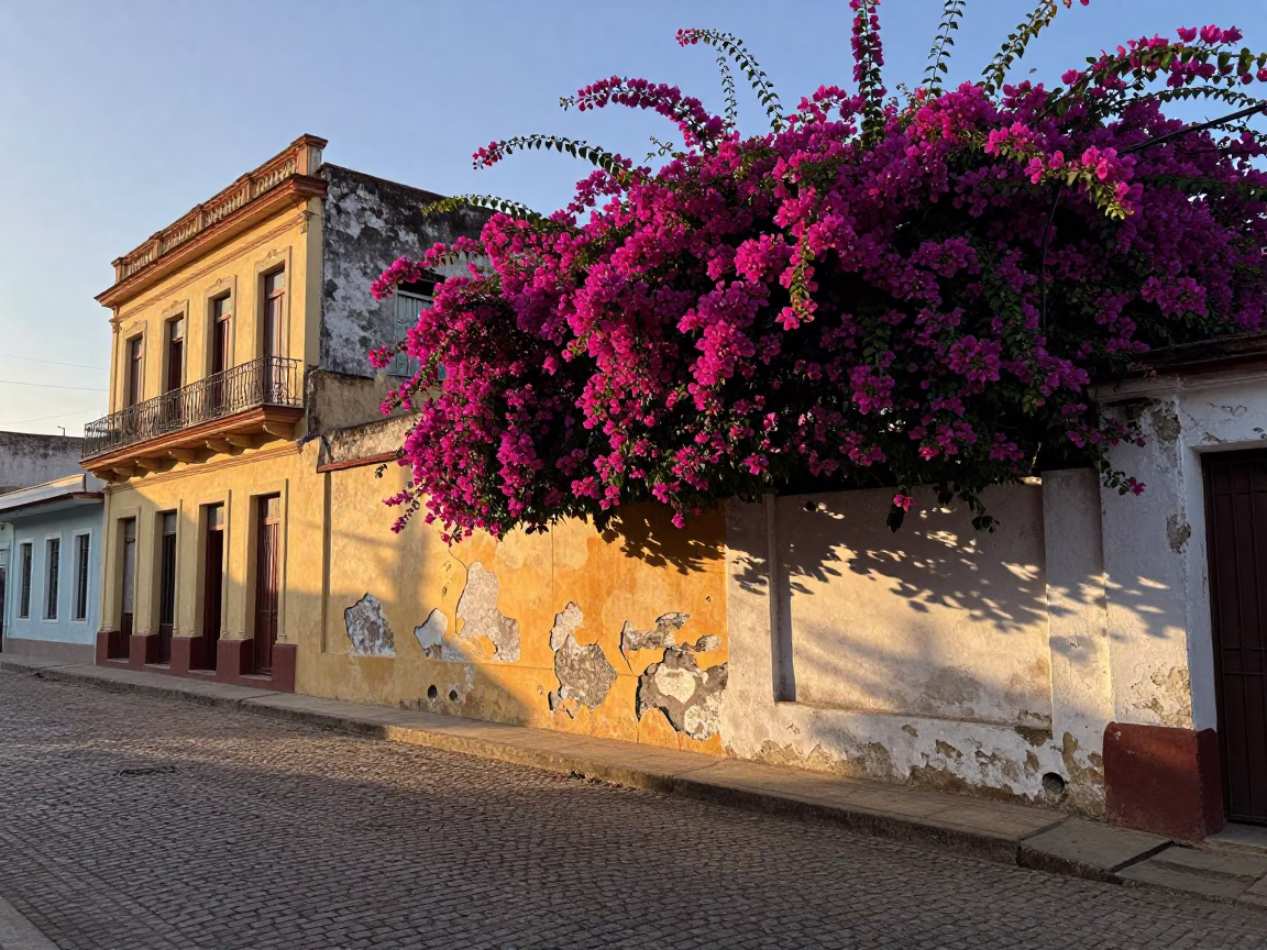 First Light Dawn on Havana Street with Bougainvillea and Morning Coffee Ritual in in Havana, Cuba