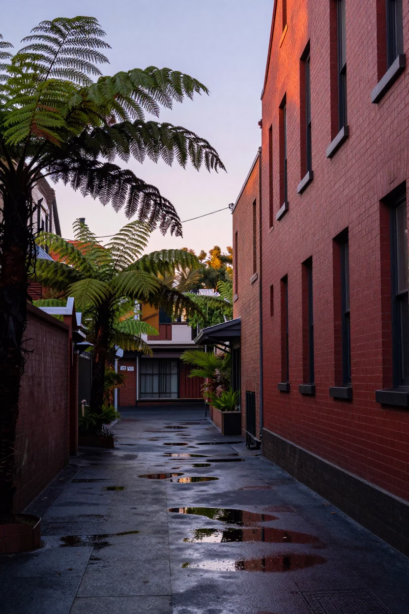 First light dawn on Melbourne laneway with ferns and wet pavement in in Melbourne, Victoria, Australia