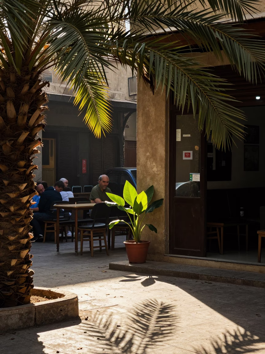First Light Illuminating Leaf Shadows and Prayer Plant in Cairo Egypt Street Scene in in Cairo, Egypt