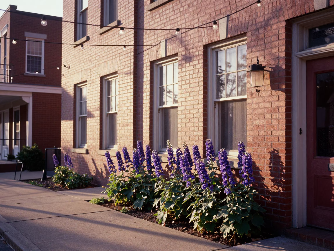 First Light Morning in Nashville Tennessee with String Lights and Delphinium Blooms in in Nashville, Tennessee, United States