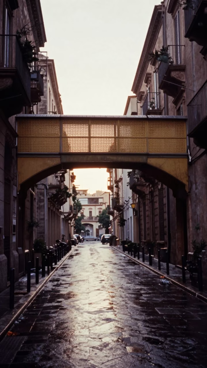 First light on Palermo street with wet pedestrian overpass and fallen petals in in Palermo, Italy