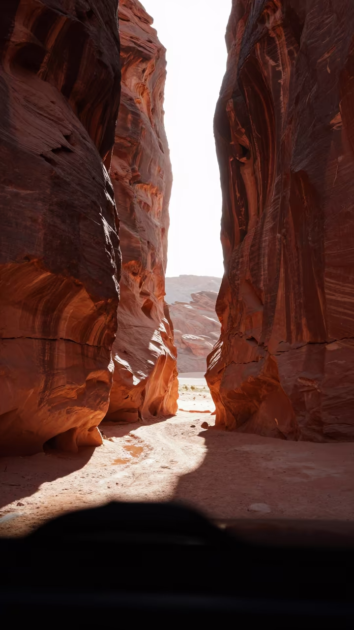 First Light in Saudi Slot Canyon After Rain in across a floodplain after rain in Saudi Arabia