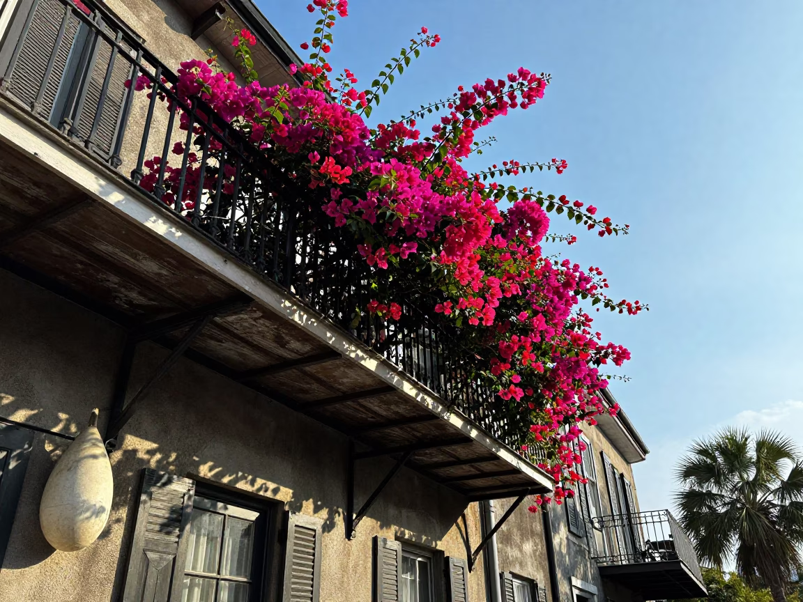 Fishing Float in Charleston in in Charleston, South Carolina, United States