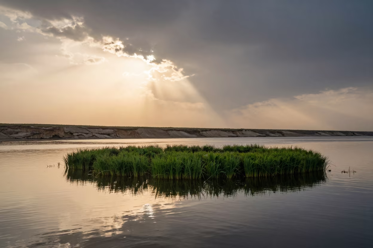 Floating Vegetation Island Sunset Baqubah Shore in along a wave-cut shoreline near Baqubah