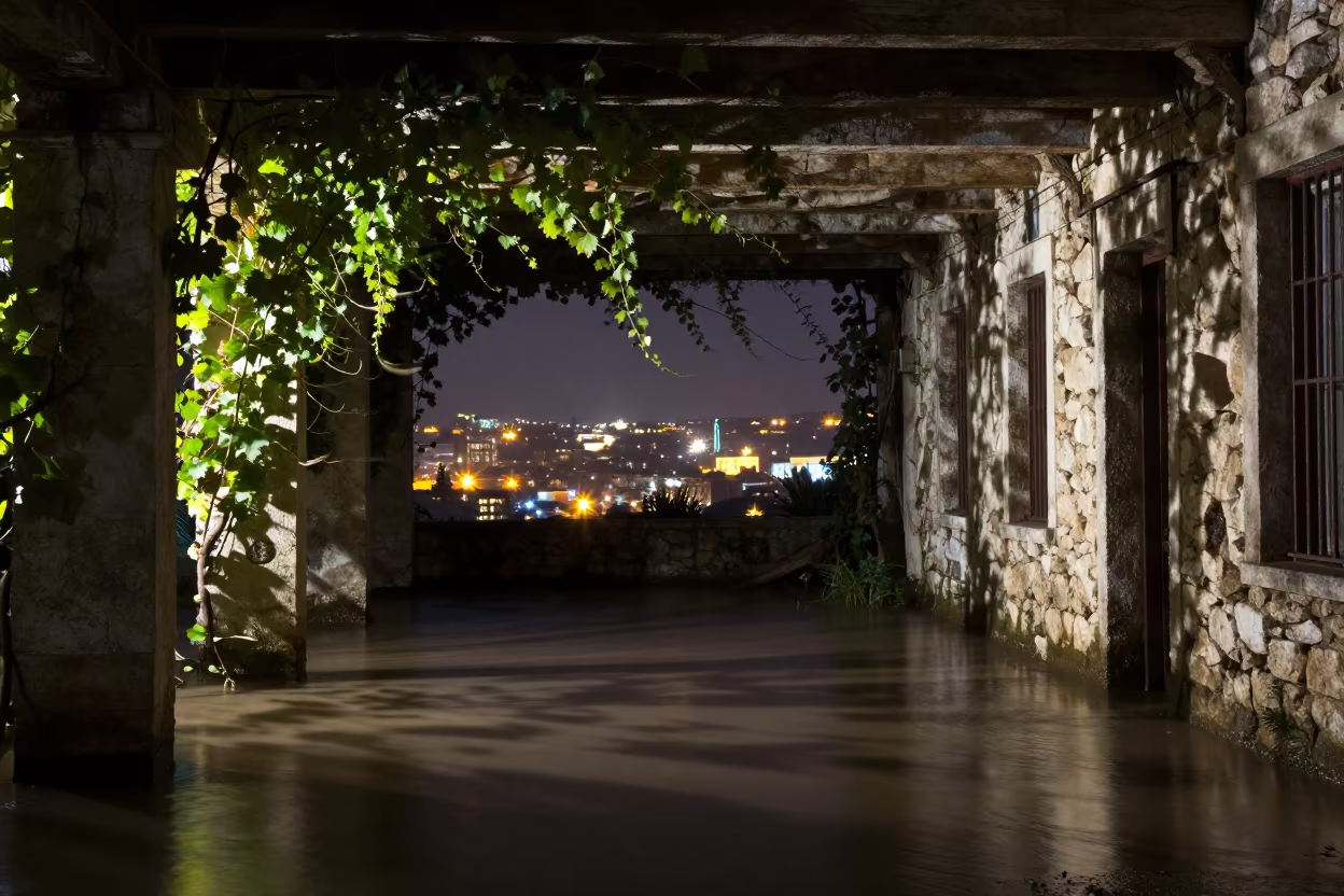 Flooded Archive Basement Silhouette in Albanian Vine Corridor in along a vine-choked corridor in Albania