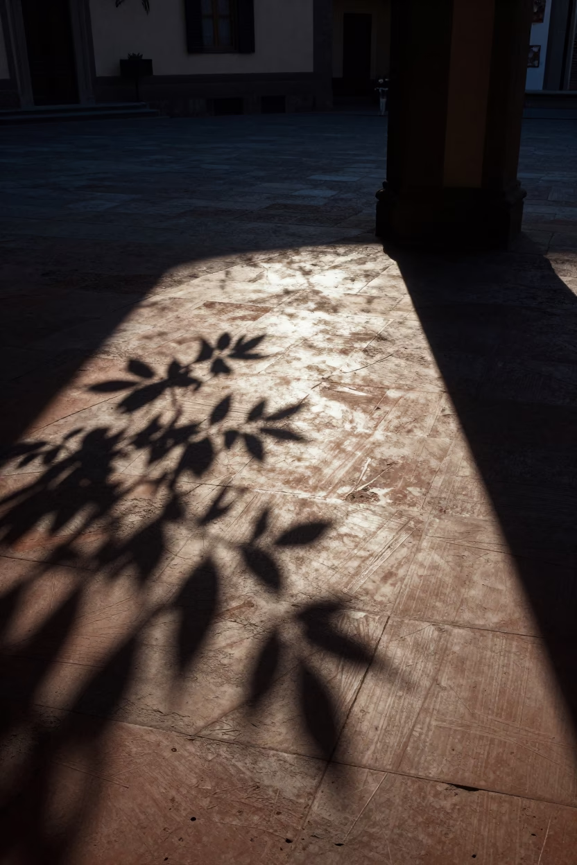 Florence Italy Before Sunrise Leaf Shadows on Tile in Early Morning Light in in Florence, Italy