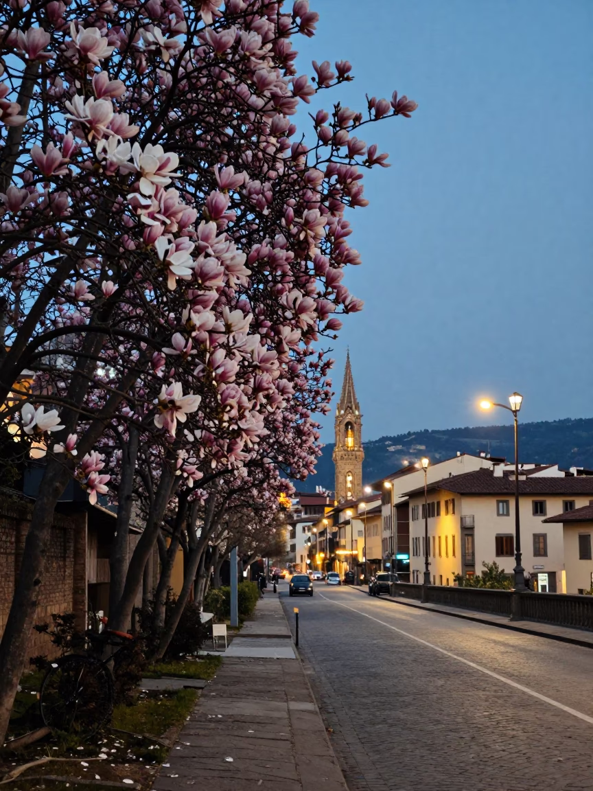Florence Italy Evening Street Scene with Magnolia Blooms and City Lights in in Florence, Italy