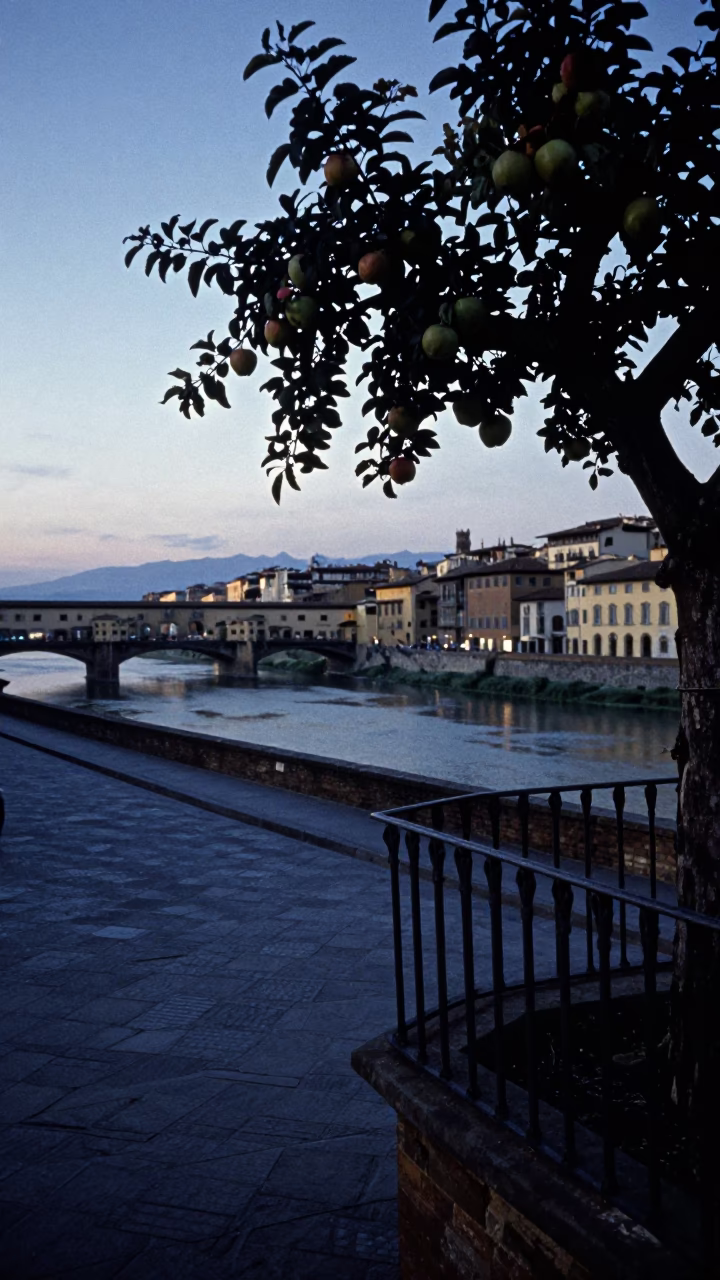 Florence Italy Twilight Street Scene with Fig Tree and Apples on Balcony in in Florence, Italy