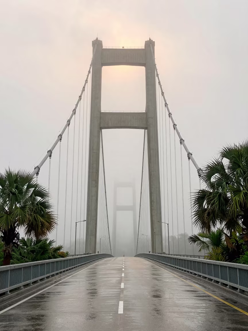 Florida Suspension Bridge Morning Fog Mist in in Florida