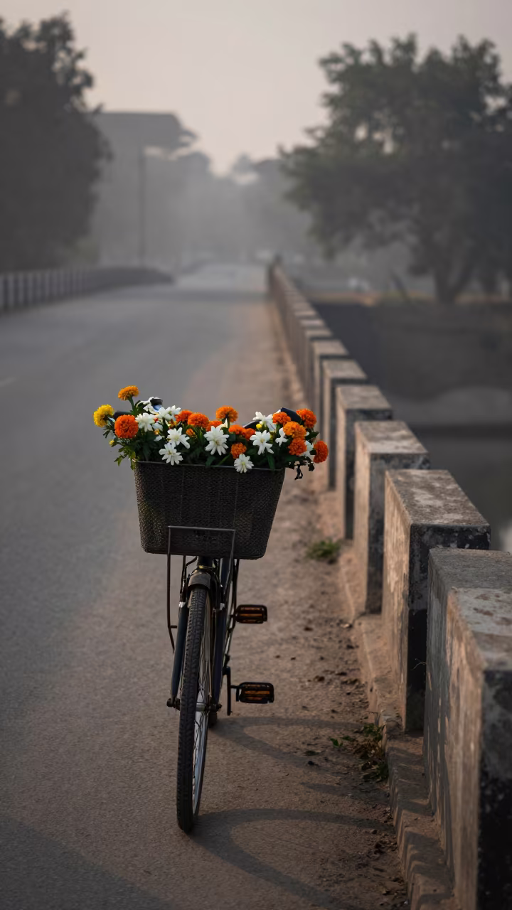 Flower Basket Bicycle on Bridge at Dera Ismail Khan in near Dera Ismail Khan