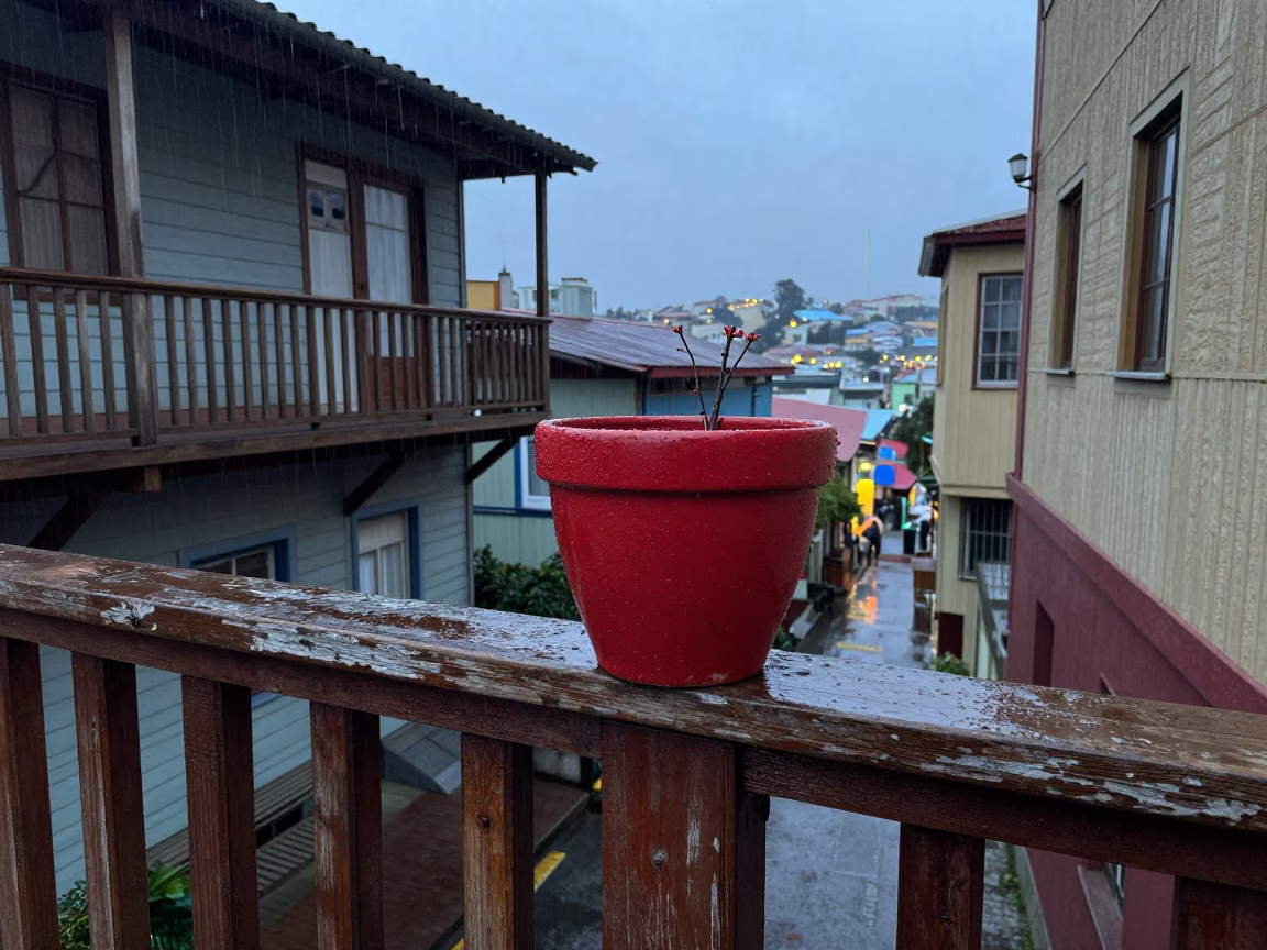 Flower Pot in Valparaiso in in Valparaiso, Chile