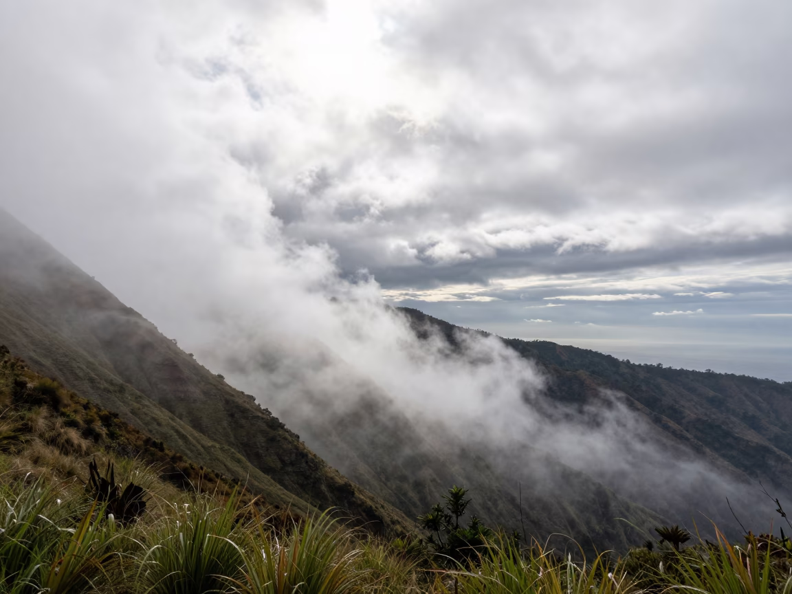 Fog Climbs Windward Slope Above Ecuador Thunderheads in over a horizon of stacked thunderheads in Ecuador