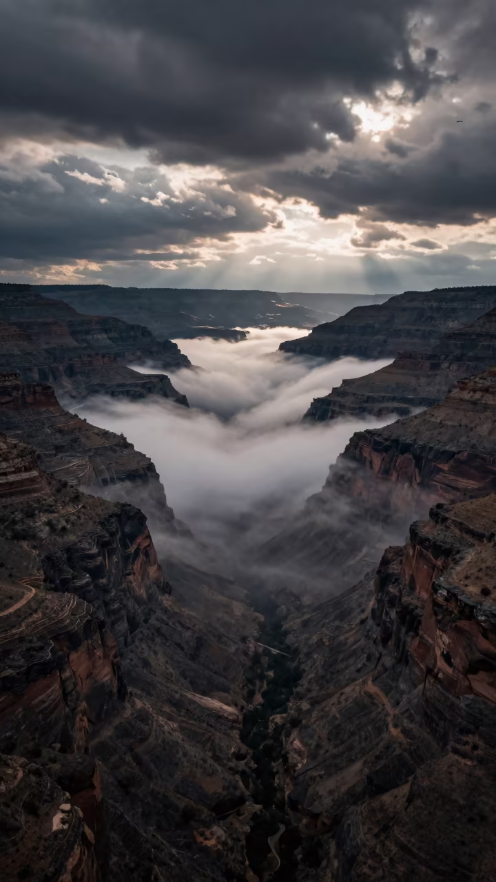 Fog Rolling Through Canyon at Night in through low marine fog in Mexico