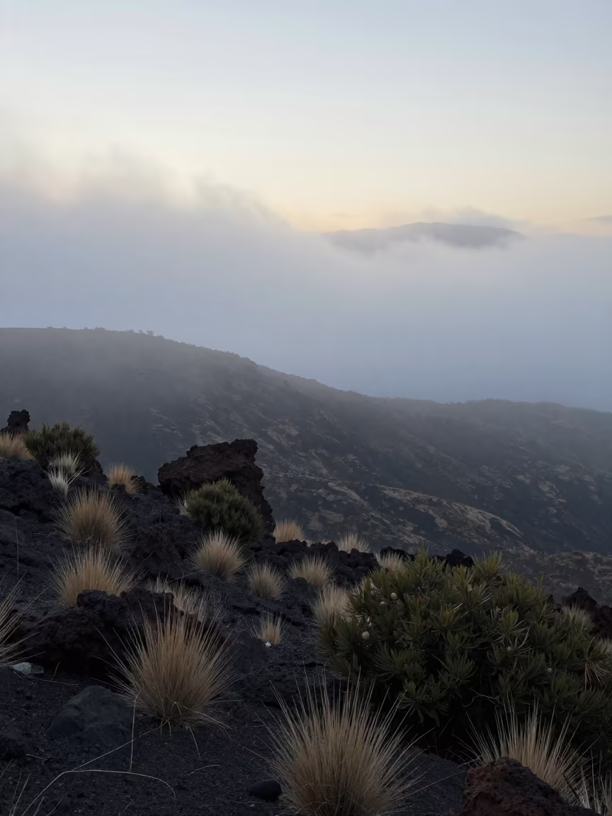 Fog Rolling Up Windward Mountain Face Near La Paz in near La Paz