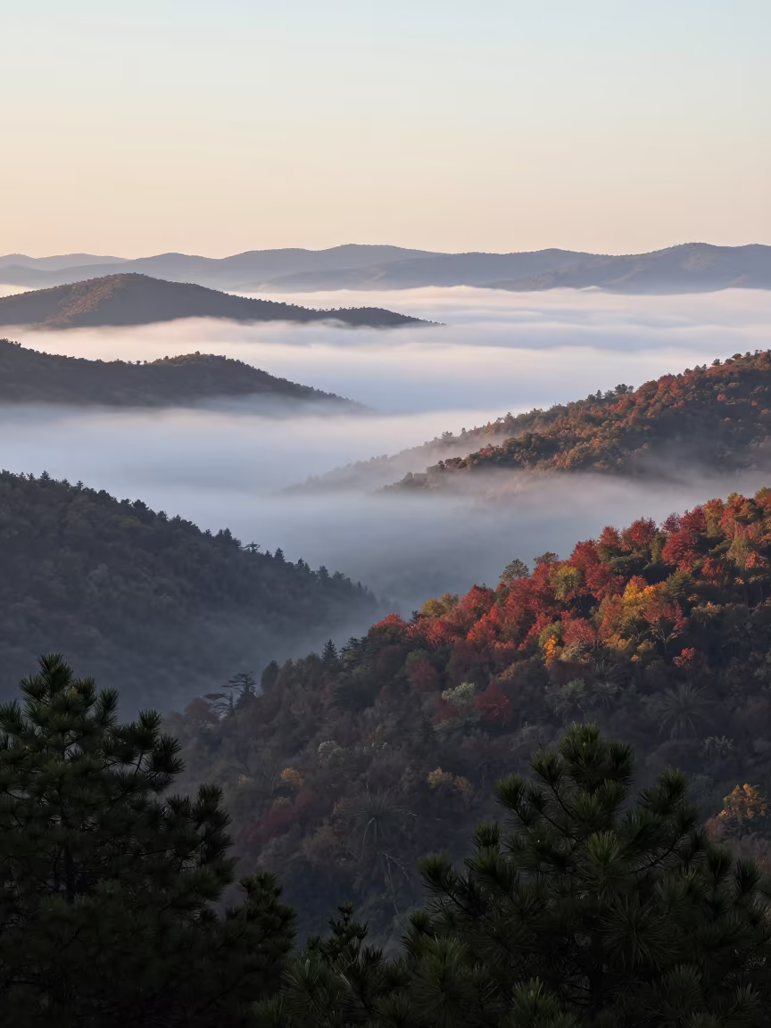Foggy Valley Dawn in Early Autumn Catalonia in in Catalonia