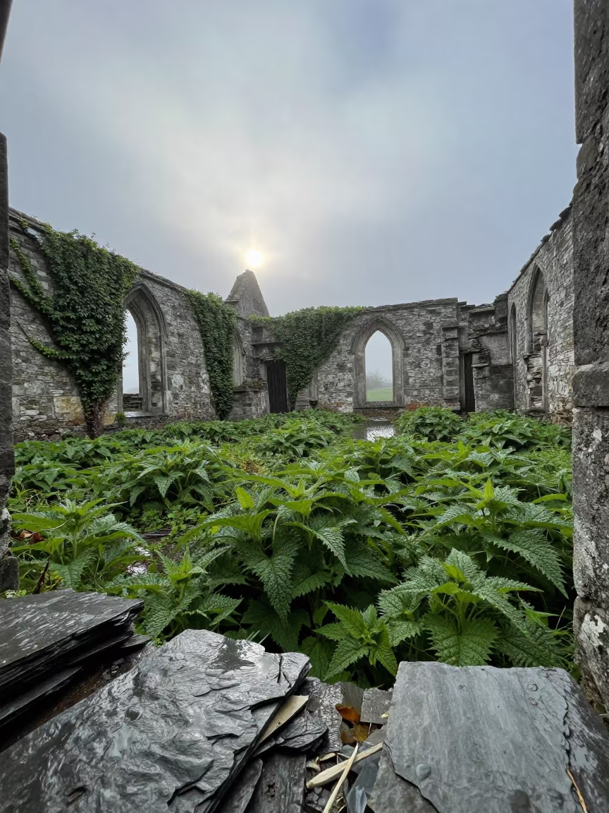 Forsaken Chapel Yard Overgrown with Nettles and Fog in beside ivy-draped masonry near Tete