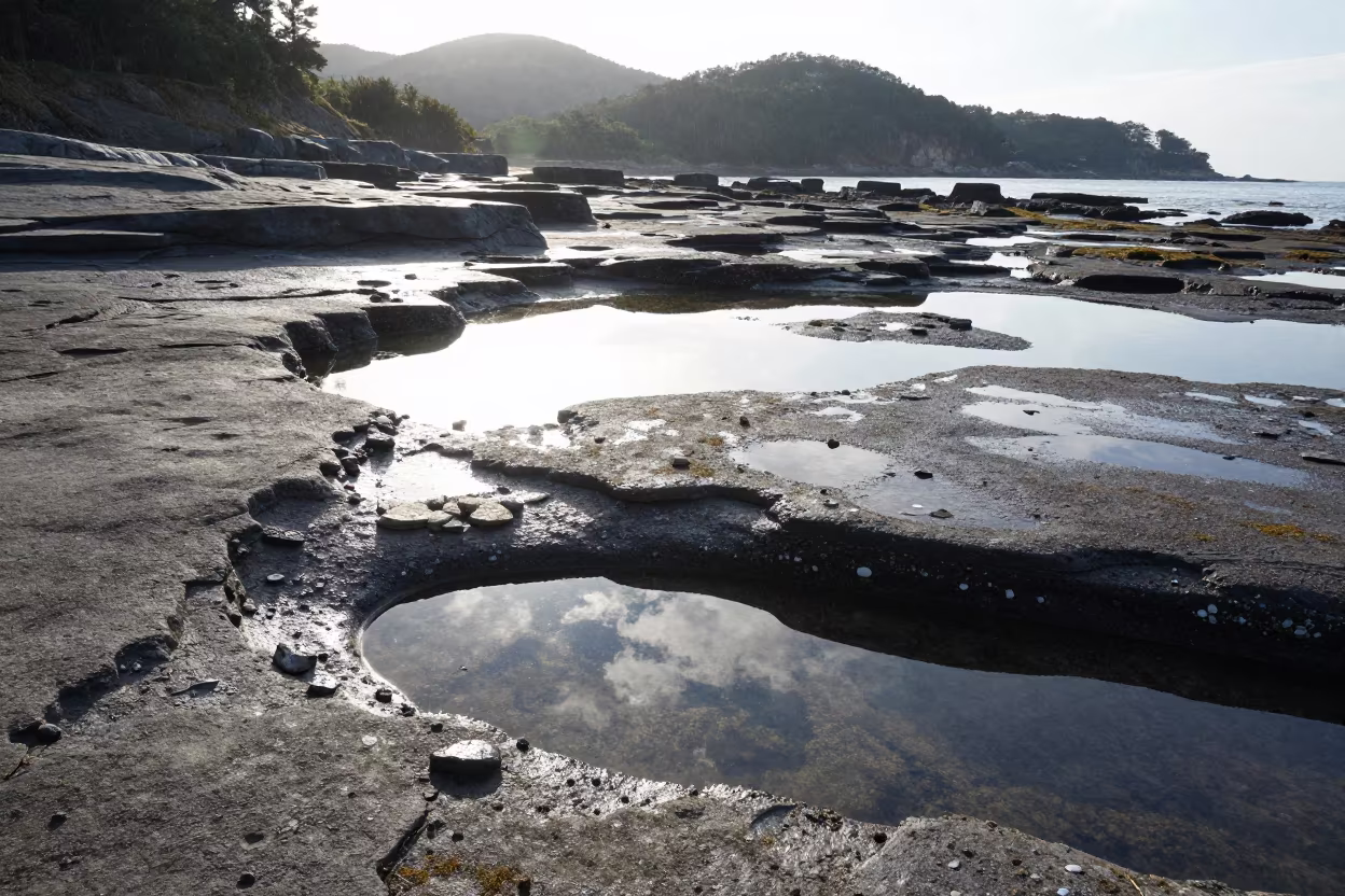 Fossil Terraces Reflecting Drizzle in Japanese Foothills in from a ridge above layered foothills in Japan