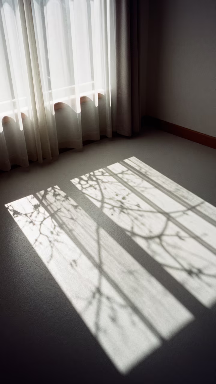 Fractal Branch Shadows on Snowy Floor in in British Columbia