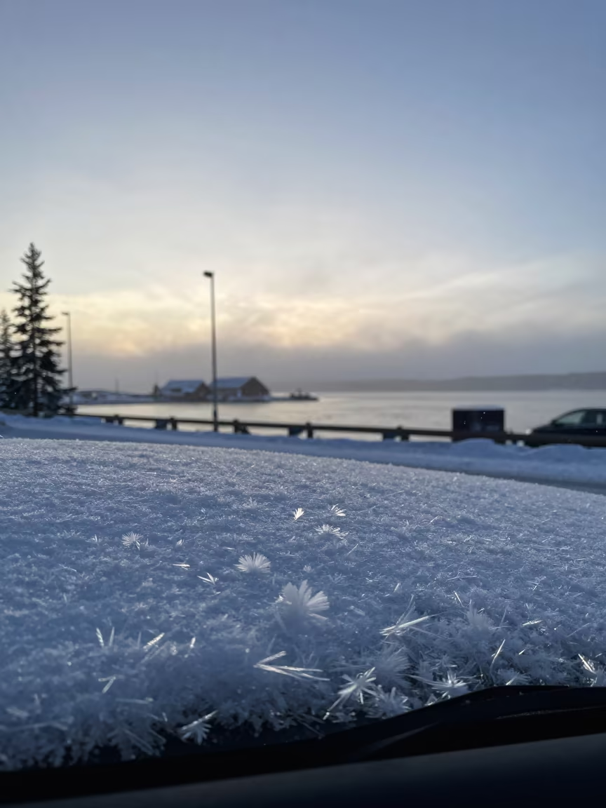 Fractal Ice Crystals on Frozen Car Window in beside a fogbound harbor mouth near Whitehorse