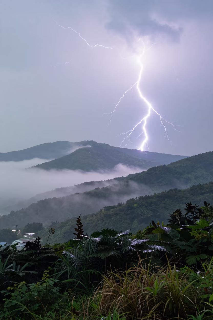 Fractal Lightning Network Over Misty Busan in near Busan