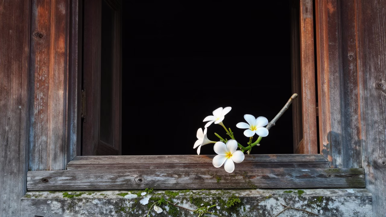Frangipani Branch in Luang Prabang in in Luang Prabang, Laos