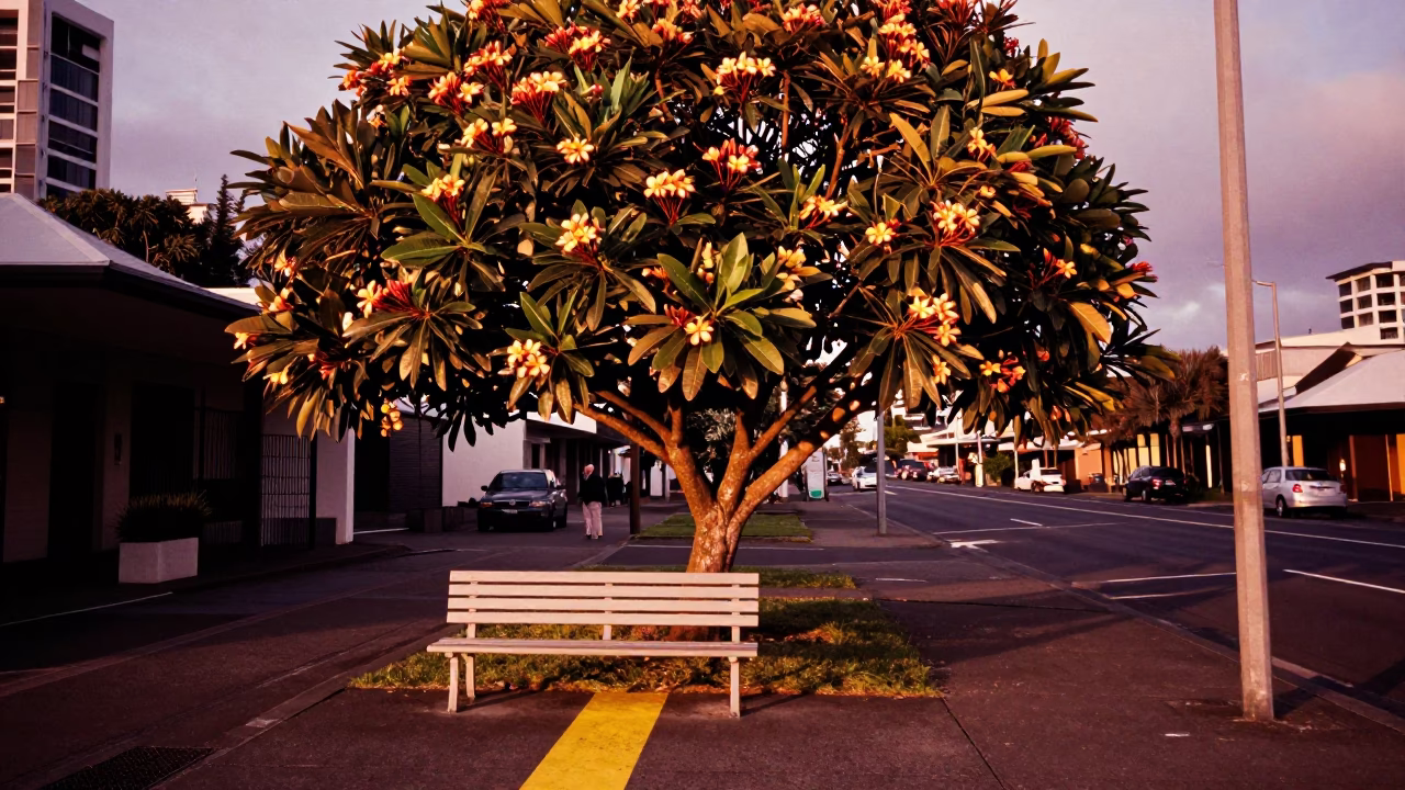 Frangipani Tree in Auckland at Copper-toned Light Before Dusk in in Auckland, New Zealand